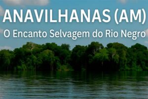 Anavilhanas