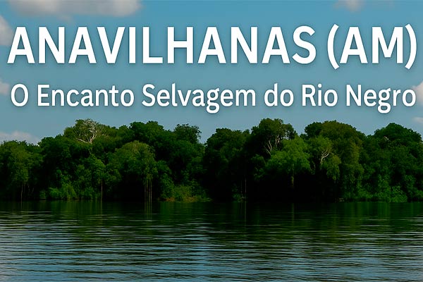 Anavilhanas